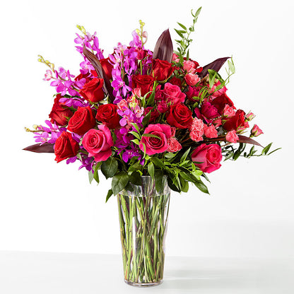 The Honeymoon –  Daily Bloom, San Antonio TX