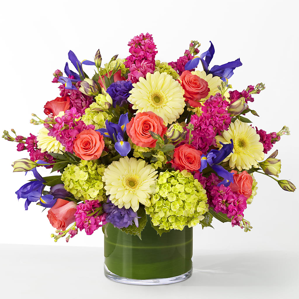 The Couture –  Daily Bloom, San Antonio TX