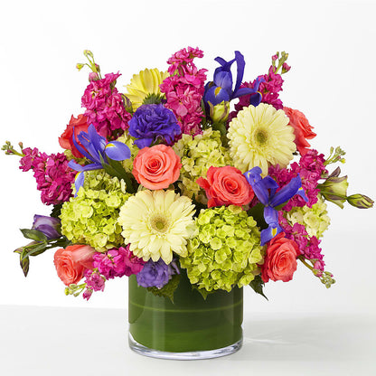 The Couture –  Daily Bloom, San Antonio TX
