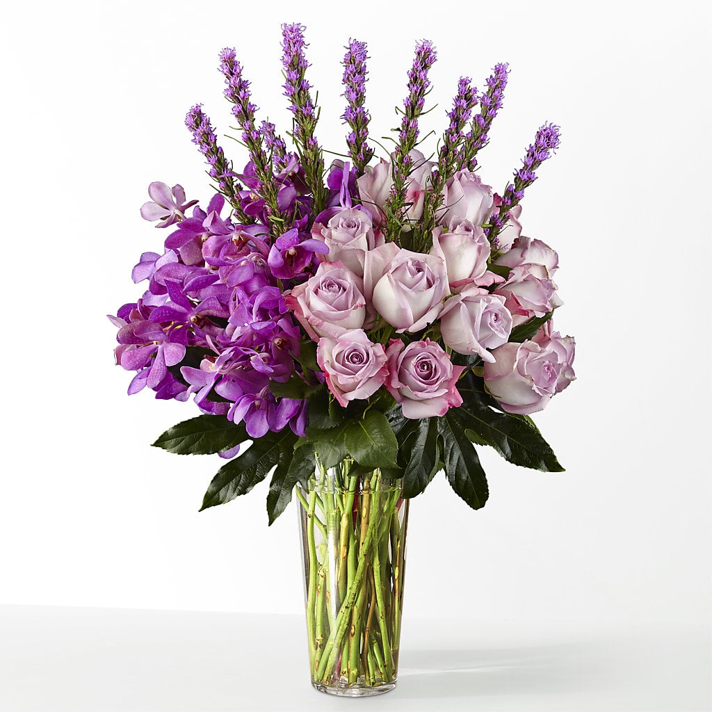 The Maximalist –  Daily Bloom, San Antonio TX