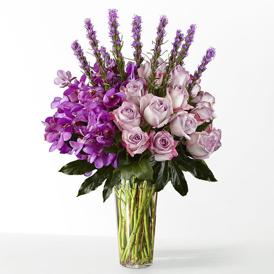 The Maximalist –  Daily Bloom, San Antonio TX