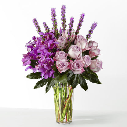 The Maximalist –  Daily Bloom, San Antonio TX