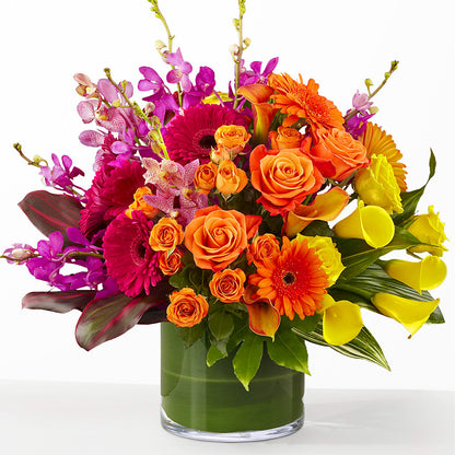 The Mosaic –  Daily Bloom, San Antonio TX