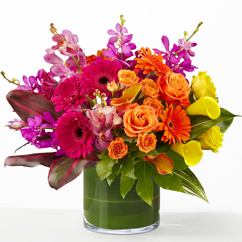 The Mosaic –  Daily Bloom, San Antonio TX