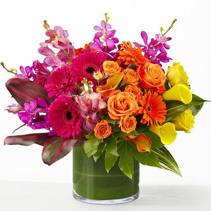 The Mosaic –  Daily Bloom, San Antonio TX