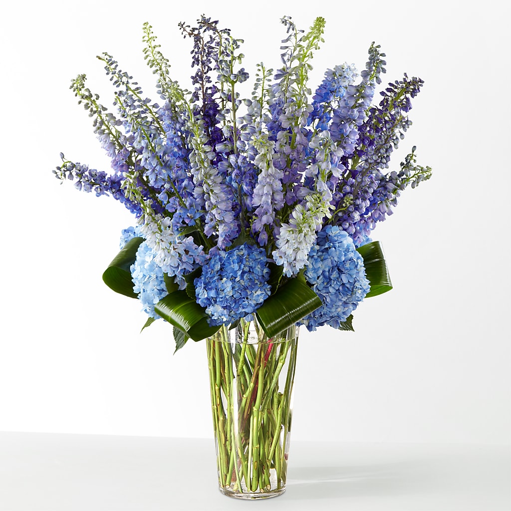 The Editorial –  Daily Bloom, San Antonio TX