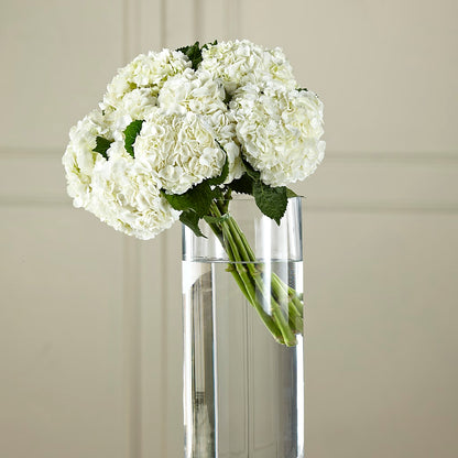 White Hydrangea Hand-Tied Bouquet –  Daily Bloom, San Antonio TX