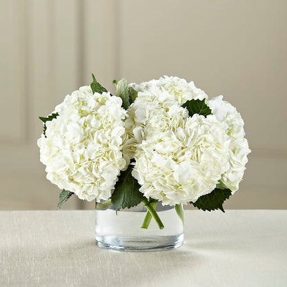White Hydrangea Bouquet –  Daily Bloom, San Antonio TX