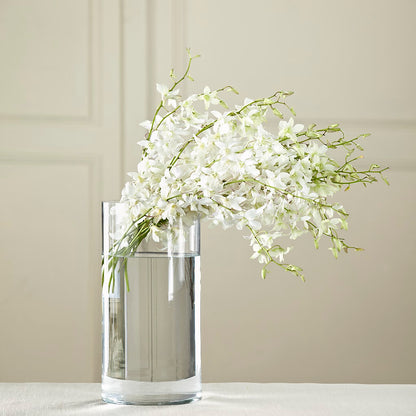 White Dendrobium Bouquet –  Daily Bloom, San Antonio TX
