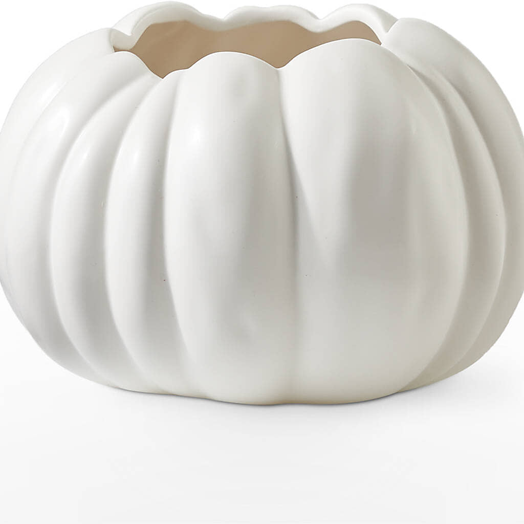 Autumn Air Pumpkin Bouquet –  Daily Bloom, San Antonio TX